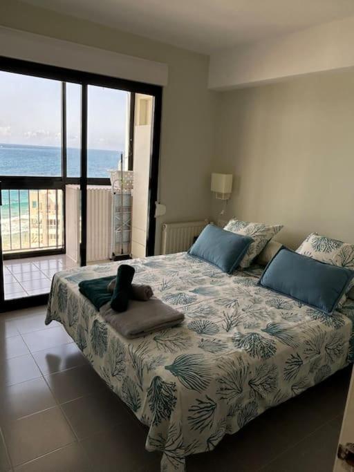 L'albatros - Azulenacalpe Calpe